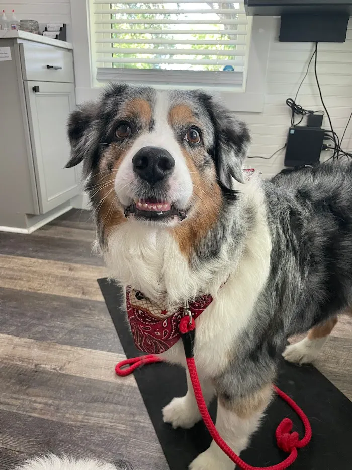 Parrish Veterinary Clinic & Urgent Care 12