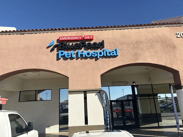 BluePearl Pet Hospital 2