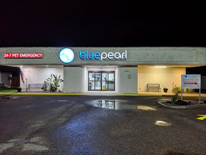 BluePearl Pet Hospital 3