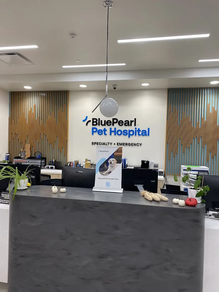 BluePearl Pet Hospital 5