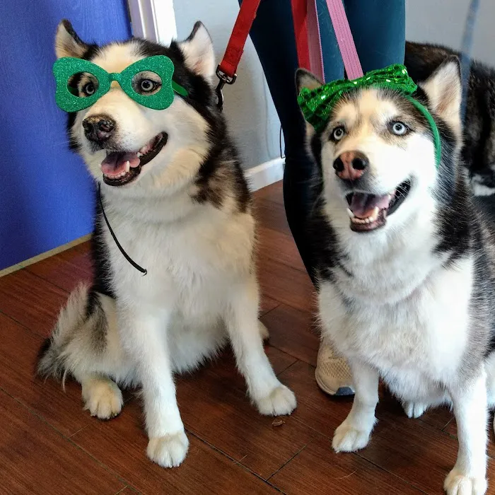 Indian Bend Animal Hospital 3