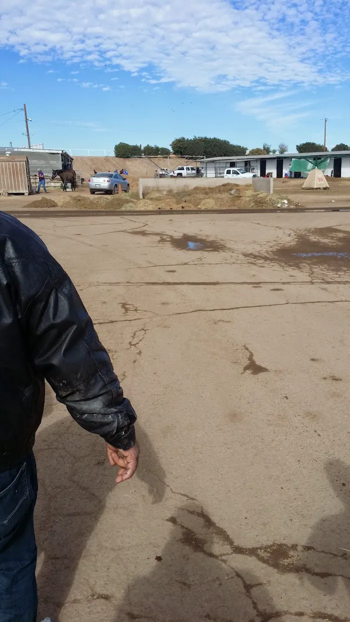 Rio Verde Equin DVM 3