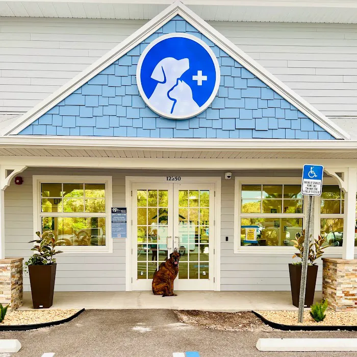 Vet Next Door 12