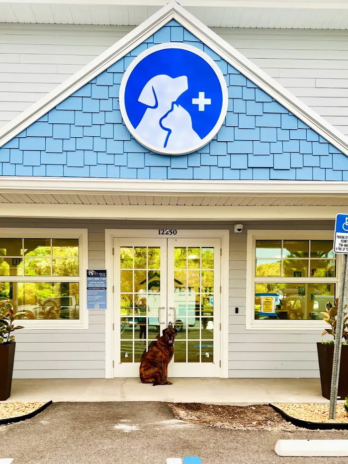 Vet Next Door 12