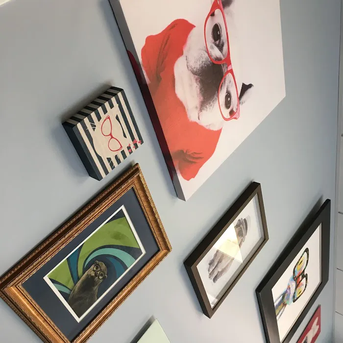 Eyeshine Veterinary 2
