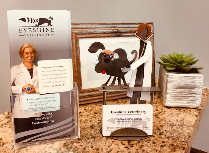 Eyeshine Veterinary 3