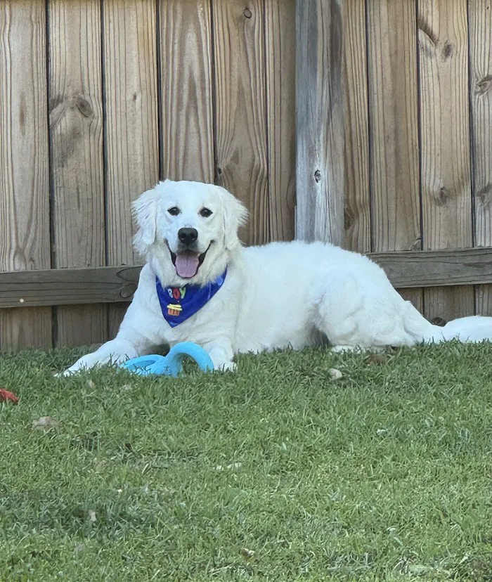 Bradenton Veterinary Emergency 12