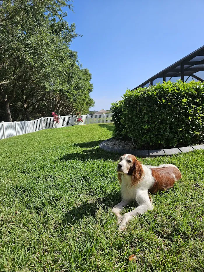 Bradenton Veterinary Emergency 12
