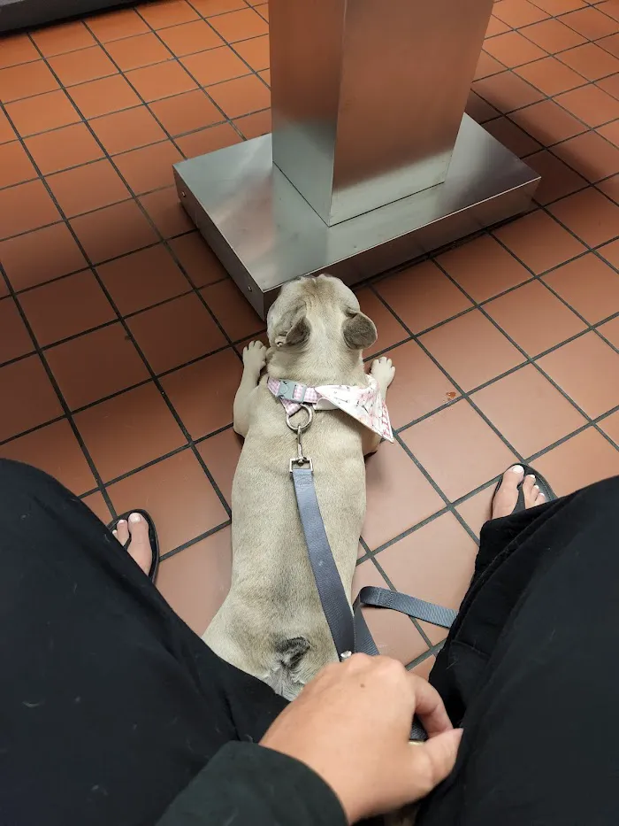 Bradenton Veterinary Emergency 12