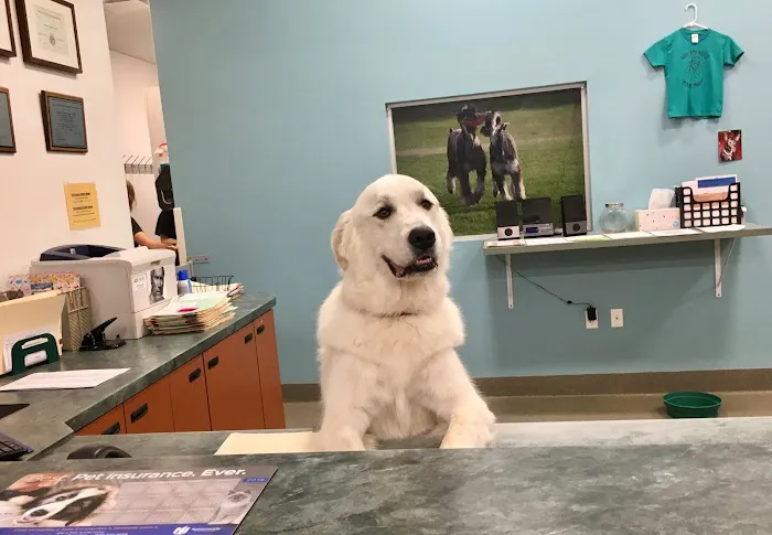 Deer Creek Animal Hospital 4
