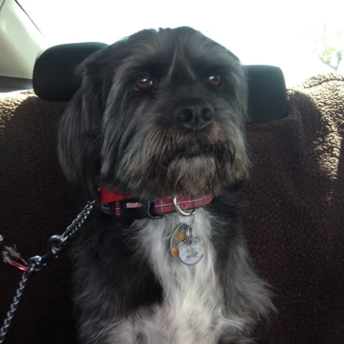 Deer Creek Animal Hospital 5