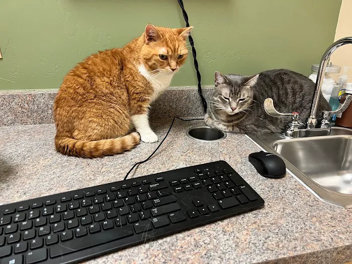Larkspur Cat Clinic 12