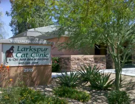 Larkspur Cat Clinic 12
