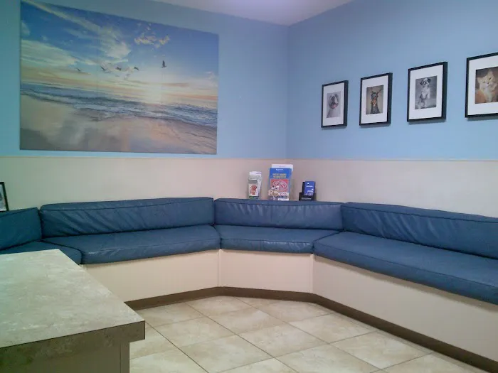 St. Petersburg Animal Hospital and Urgent Care 6
