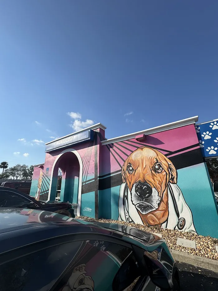 St. Petersburg Animal Hospital and Urgent Care 8