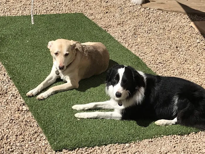 Four Legged Friends Animal Hospital 3