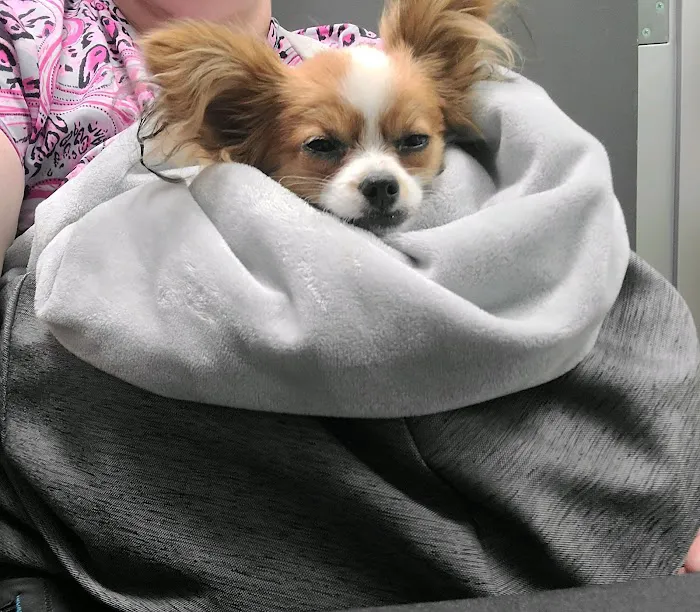 Stetson Hills Animal Hospital 5