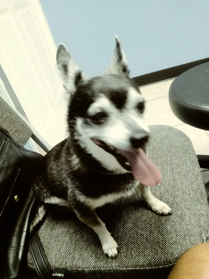 Baycrest Veterinary Hospital 12