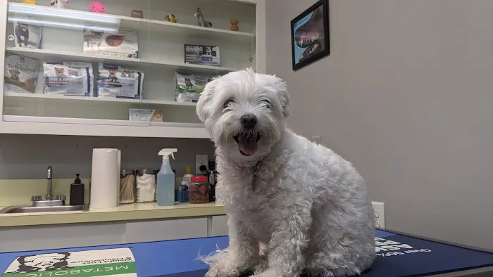 Baycrest Veterinary Hospital 12