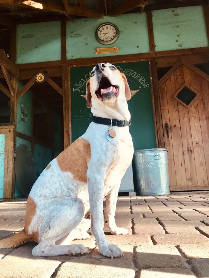 Baycrest Veterinary Hospital 12