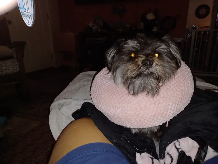 Baycrest Veterinary Hospital 12
