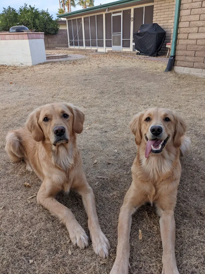 Companion Pet Clinic of North Phoenix 12