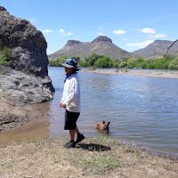 Pet Life Veterinary Clinic Paradise Valley ico