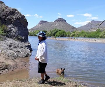 Pet Life Veterinary Clinic Paradise Valley