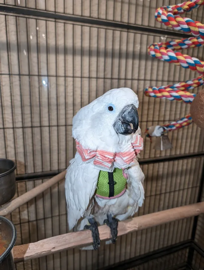 Arizona Exotic Animal Hospital (Phoenix) 2