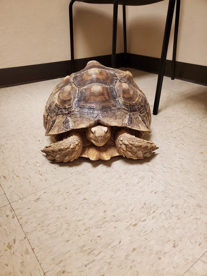 Arizona Exotic Animal Hospital (Phoenix) 6