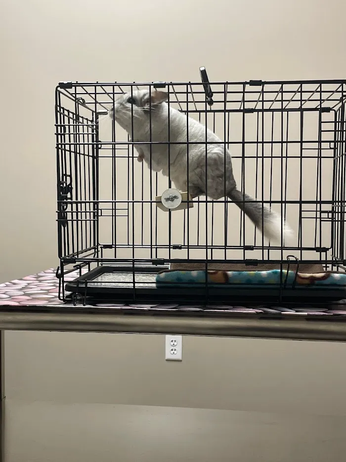Arizona Exotic Animal Hospital (Phoenix) 3