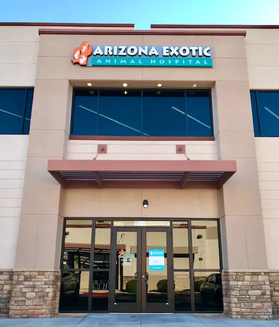 Arizona Exotic Animal Hospital (Phoenix) 5