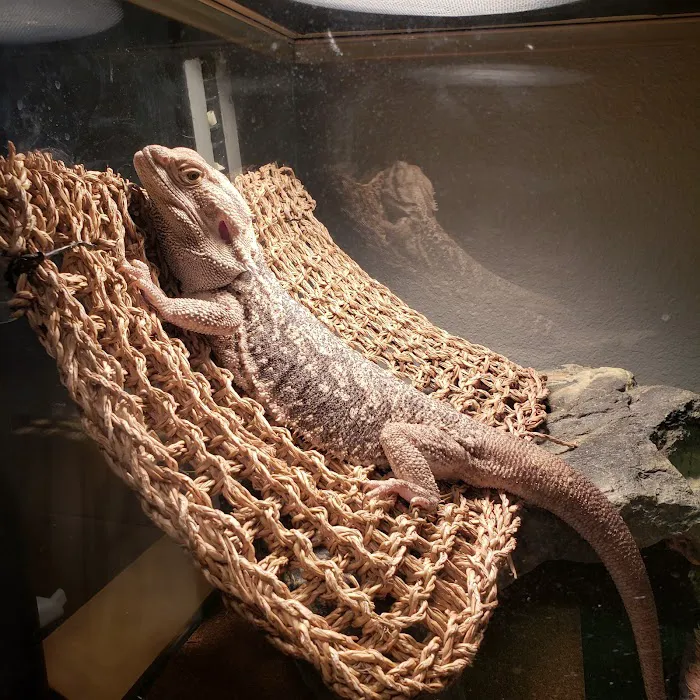 Arizona Exotic Animal Hospital (Phoenix) 8