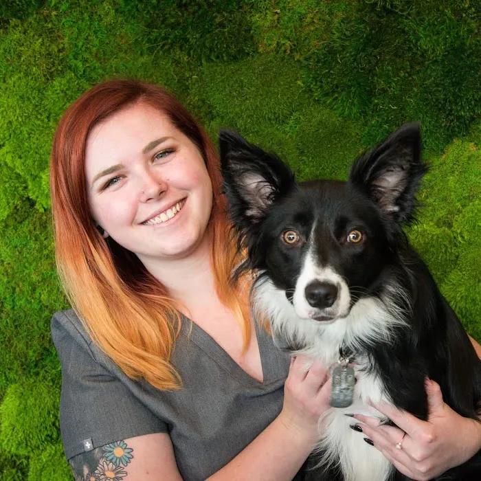 West Park Animal Hospital 12