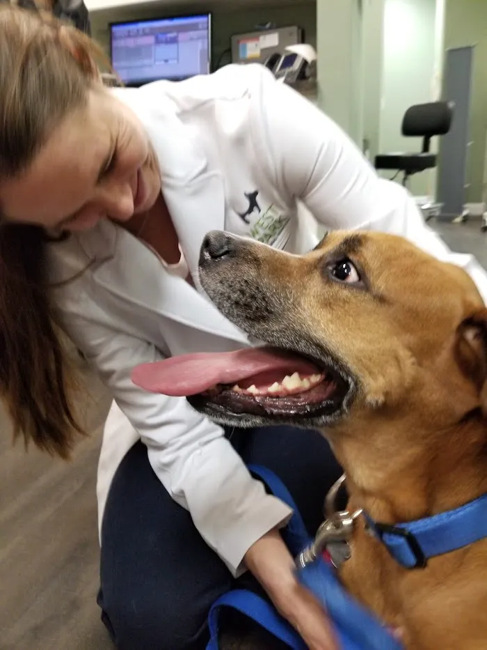 West Park Animal Hospital 12