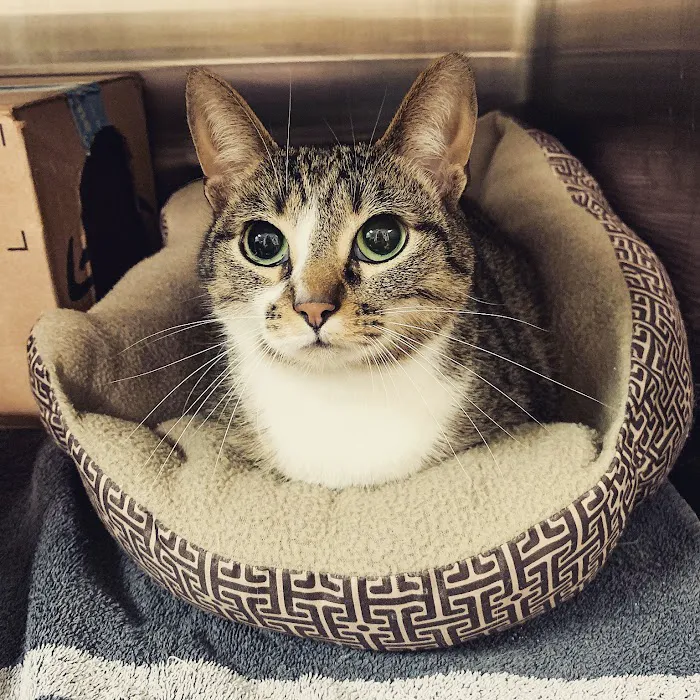 West Park Animal Hospital 12