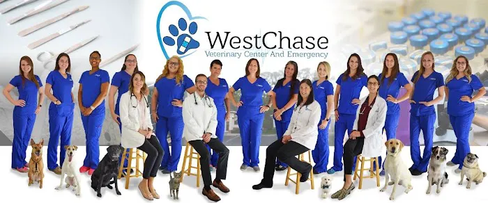 Westchase Veterinary Center and Emergency 12