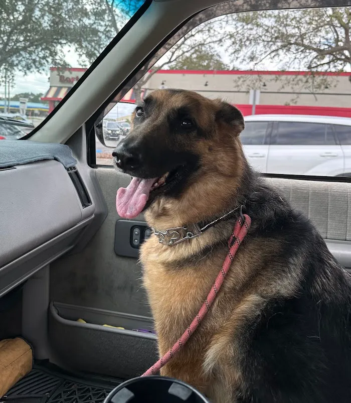 Westchase Veterinary Center and Emergency 12