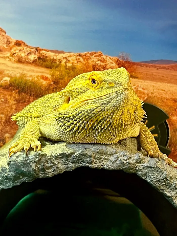 Animal & Exotic Medical Center 12