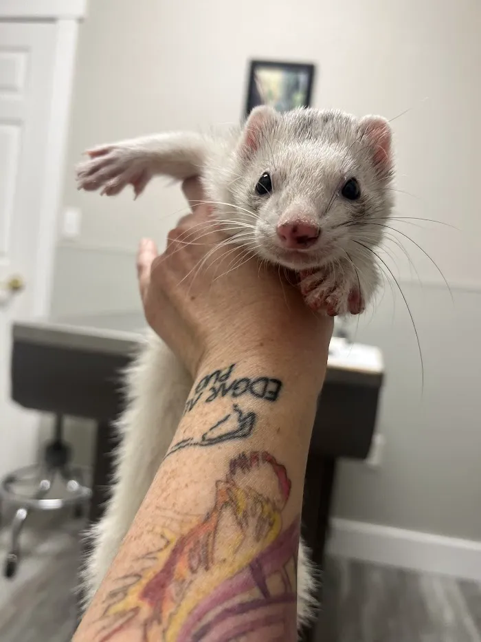 Animal & Exotic Medical Center 12