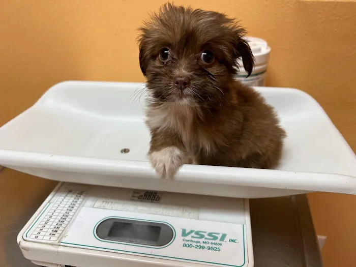 Animal & Exotic Medical Center 12