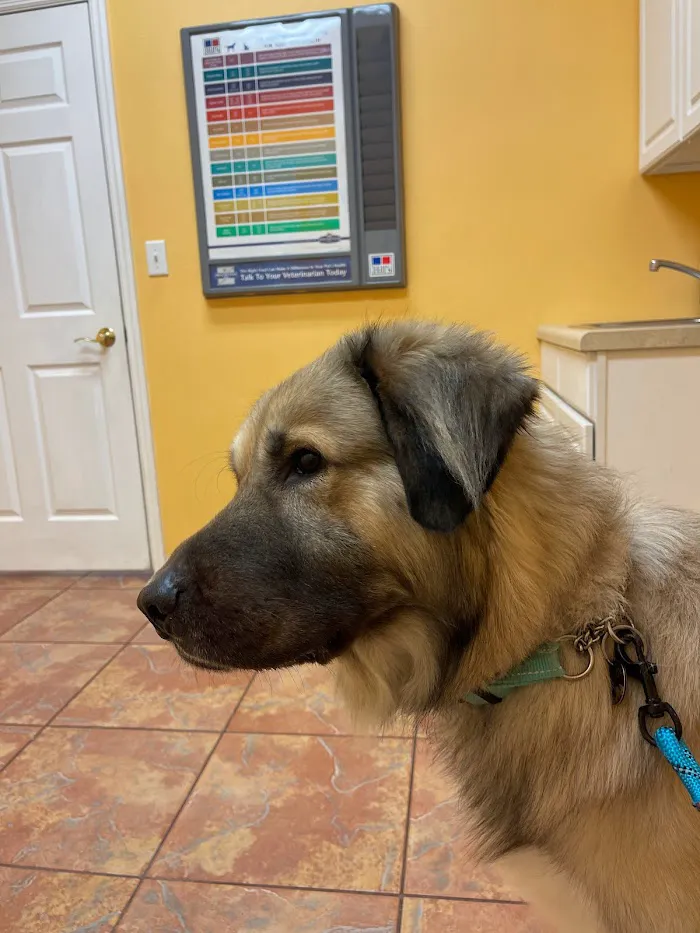 Animal & Exotic Medical Center 12