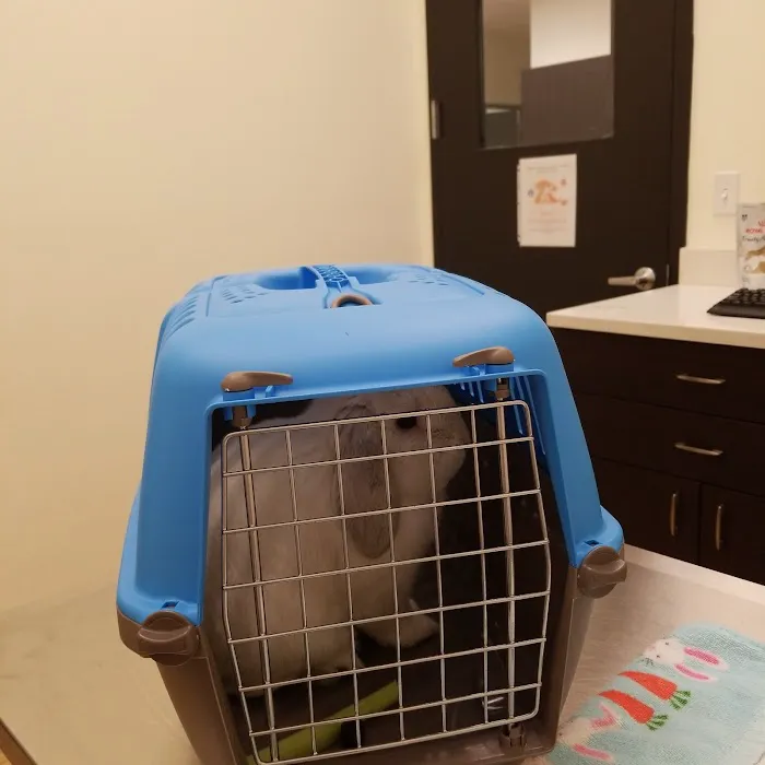 Animal & Exotic Medical Center 12