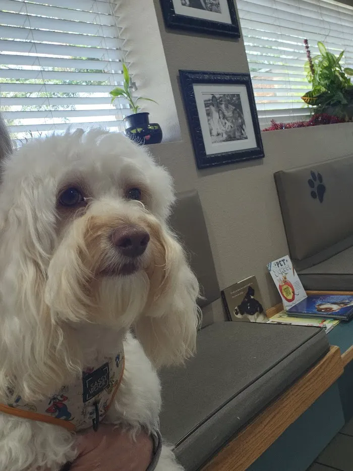 Animal Care Center of Pasco County 8