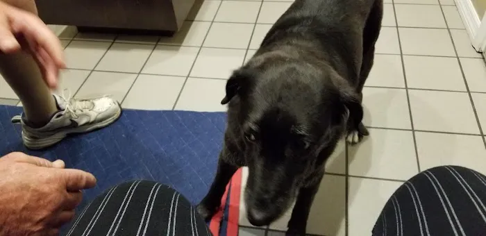 Animal Care Center of Pasco County 1