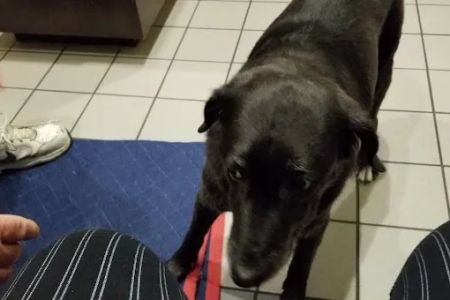 Animal Care Center of Pasco County