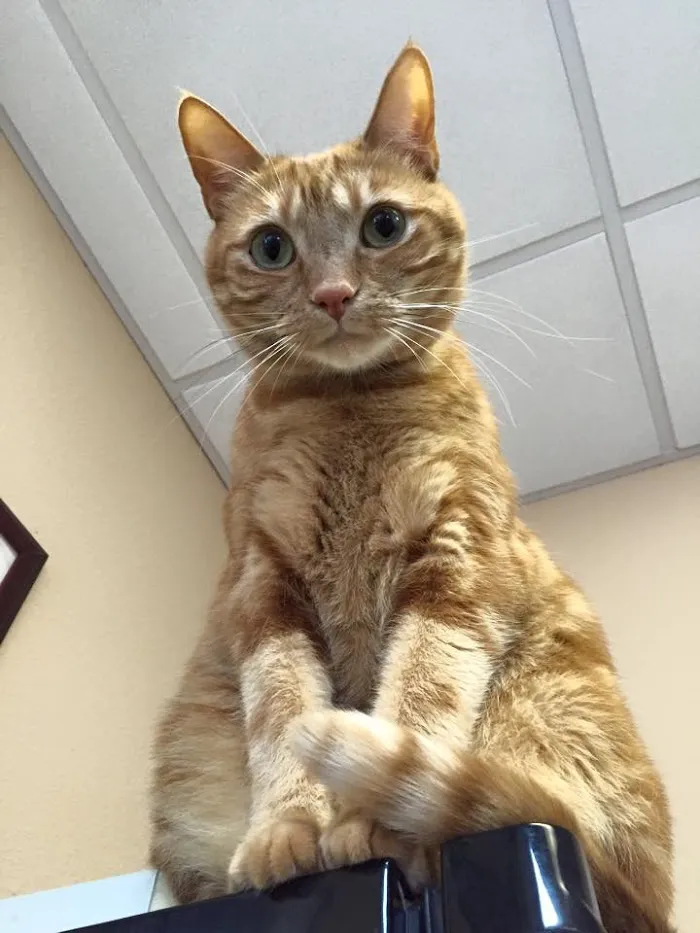 Animal Care Center of Pasco County 5