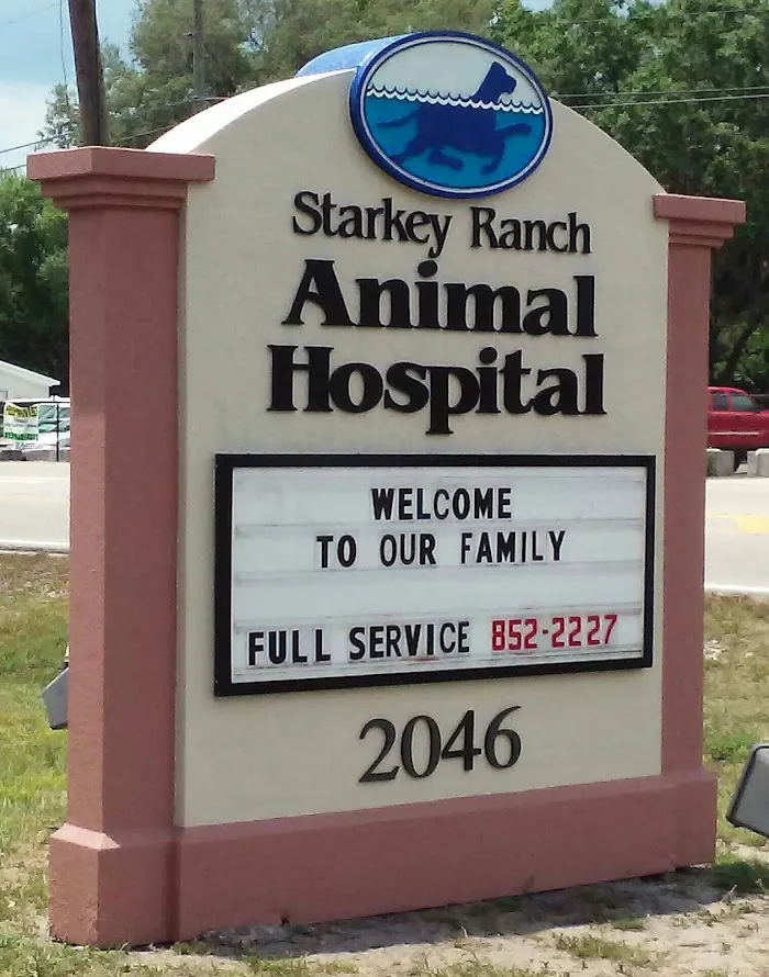 Starkey Ranch Animal Hospital 12
