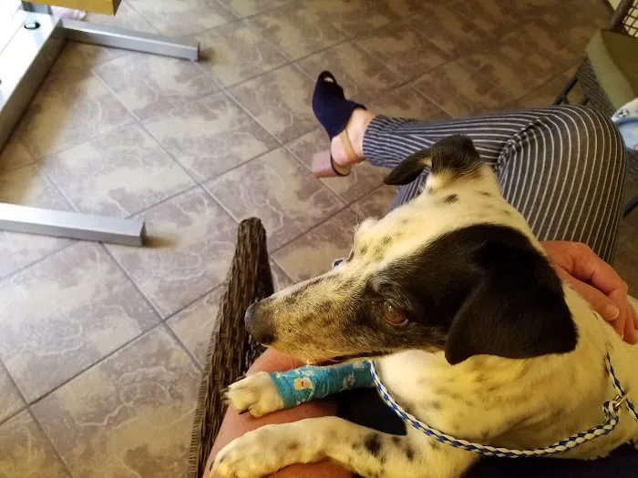 Starkey Ranch Animal Hospital 12