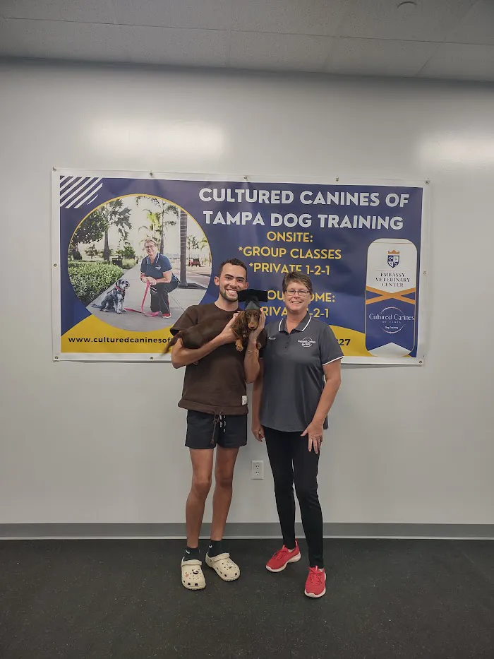 Embassy Veterinary Center & Pet Retreat Tampa 12